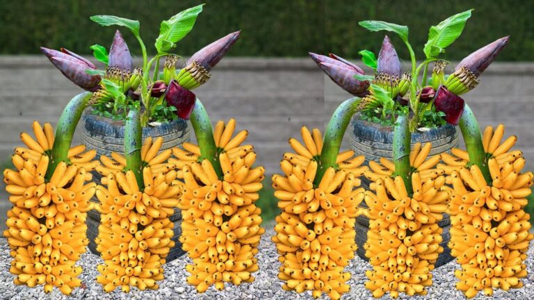 10 plantas que são perigosas e que muita gente ainda ignora na jardinagem