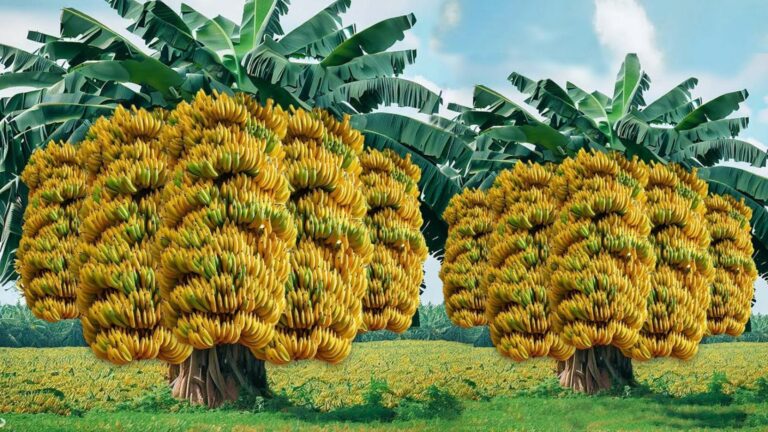 5 remédios naturais que estão a piorar a tua pele sem saberes