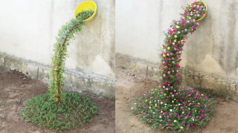 6 erros de jardinagem que pioram a saúde do teu solo sem saberes