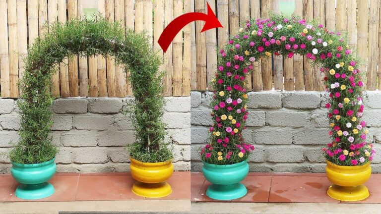 5 plantas aromáticas que muita gente ignora e que transformam o teu jardim