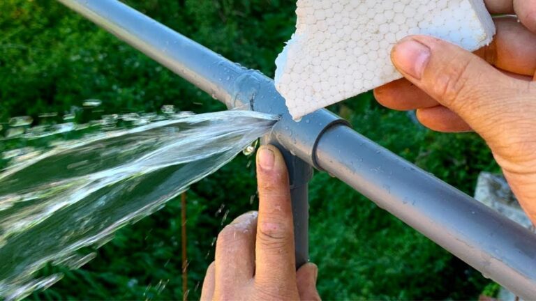 4 erros de jardinagem que agravam o crescimento das tuas plantas sem saberes
