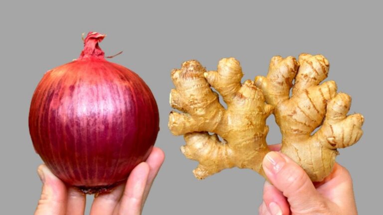 Jardinagem: 7 erros que pioram o crescimento das tuas plantas sem saberes