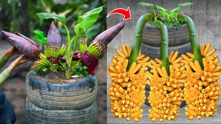6 plantas que podem piorar a tua horta sem saberes