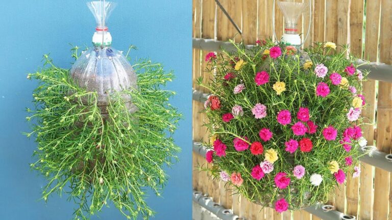 5 plantas para a horta que muitas ignoram e que isso muda tudo para ti