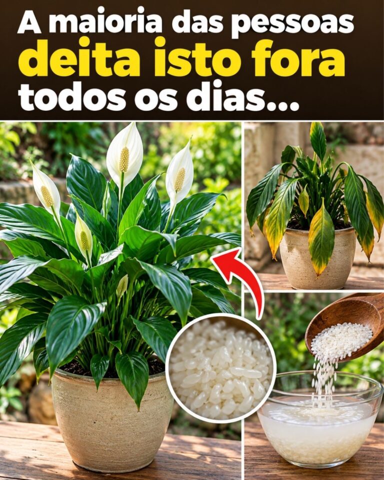 A maioria das pessoas deita isto fora todos os dias